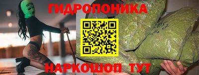 твердый Лесосибирск
