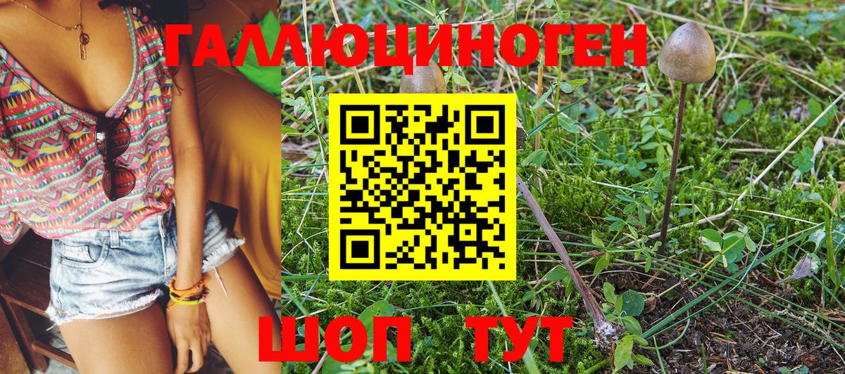 Заволжье  Галлюциногенные грибы Psilocybe  Вход с VPN  Псилоцибиновые грибы Cubensis 
